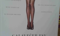 Ples Fakulty sociálních věd UK